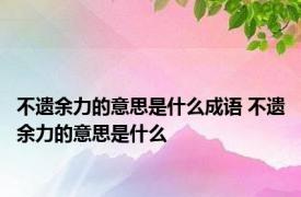 不遗余力的意思是什么成语 不遗余力的意思是什么