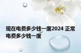 现在电费多少钱一度2024 正常电费多少钱一度 