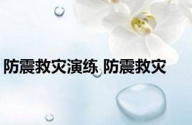 防震救灾演练 防震救灾 