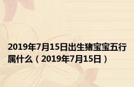 2019年7月15日出生猪宝宝五行属什么（2019年7月15日）