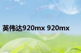 英伟达920mx 920mx 