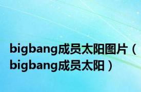 bigbang成员太阳图片（bigbang成员太阳）