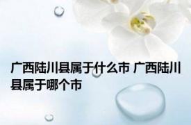 广西陆川县属于什么市 广西陆川县属于哪个市