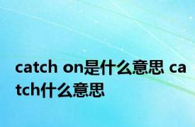 catch on是什么意思 catch什么意思