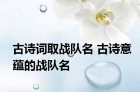 古诗词取战队名 古诗意蕴的战队名