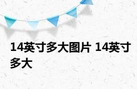 14英寸多大图片 14英寸多大 