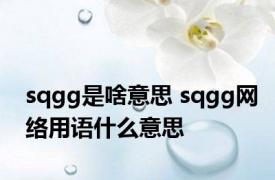 sqgg是啥意思 sqgg网络用语什么意思