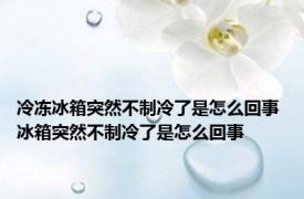 冷冻冰箱突然不制冷了是怎么回事 冰箱突然不制冷了是怎么回事