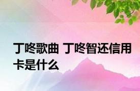 丁咚歌曲 丁咚智还信用卡是什么