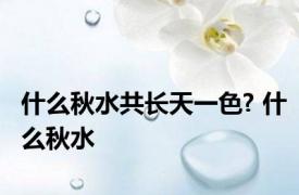 什么秋水共长天一色? 什么秋水 