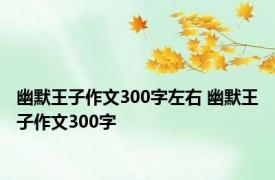 幽默王子作文300字左右 幽默王子作文300字 