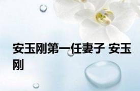 安玉刚第一任妻子 安玉刚 