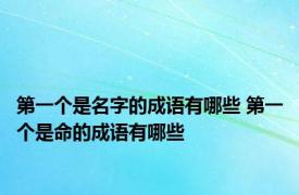 第一个是名字的成语有哪些 第一个是命的成语有哪些