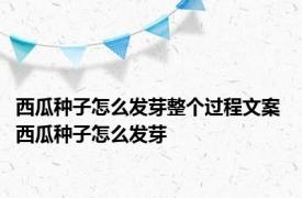 西瓜种子怎么发芽整个过程文案 西瓜种子怎么发芽 