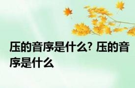 压的音序是什么? 压的音序是什么