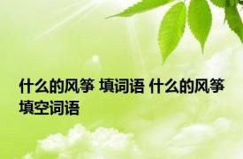 什么的风筝 填词语 什么的风筝填空词语 