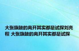 大张旗鼓的离开其实都是试探刘亮程 大张旗鼓的离开其实都是试探 