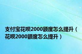 支付宝花呗2000额度怎么提升（花呗2000额度怎么提升）