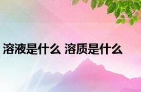 溶液是什么 溶质是什么 