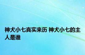 神犬小七真实来历 神犬小七的主人是谁