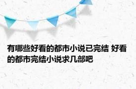 有哪些好看的都市小说已完结 好看的都市完结小说求几部吧