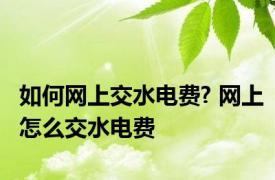 如何网上交水电费? 网上怎么交水电费