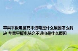 苹果平板电脑充不进电是什么原因怎么解决 苹果平板电脑充不进电是什么原因