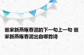 谁家新燕啄春泥的下一句上一句 谁家新燕啄春泥出自哪首诗