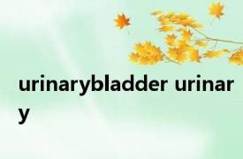 urinarybladder urinary 