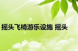 摇头飞椅游乐设施 摇头 