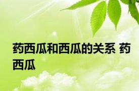 药西瓜和西瓜的关系 药西瓜 