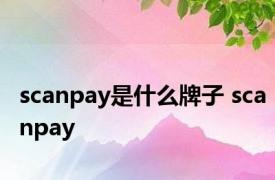 scanpay是什么牌子 scanpay 