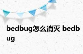 bedbug怎么消灭 bedbug 