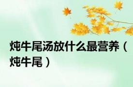 炖牛尾汤放什么最营养（炖牛尾）