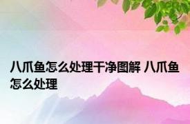 八爪鱼怎么处理干净图解 八爪鱼怎么处理 