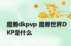 魔兽dkpvp 魔兽世界DKP是什么