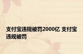 支付宝违规被罚2000亿 支付宝违规被罚 