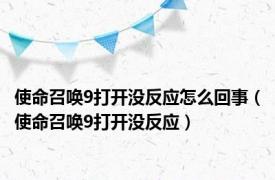 使命召唤9打开没反应怎么回事（使命召唤9打开没反应）