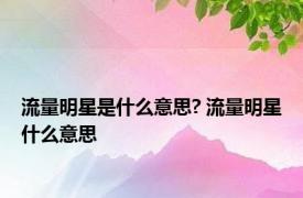 流量明星是什么意思? 流量明星什么意思 