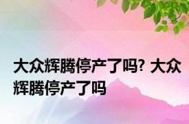 大众辉腾停产了吗? 大众辉腾停产了吗