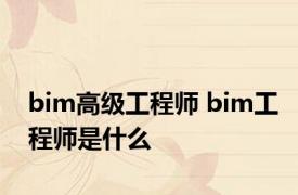 bim高级工程师 bim工程师是什么