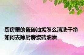 厨房里的瓷砖油垢怎么清洗干净 如何去除厨房瓷砖油渍