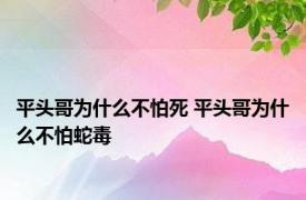 平头哥为什么不怕死 平头哥为什么不怕蛇毒