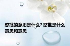 憨批的意思是什么? 憨批是什么意思和意思