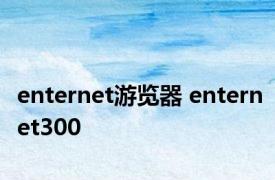 enternet游览器 enternet300 