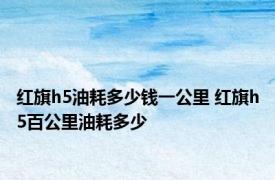 红旗h5油耗多少钱一公里 红旗h5百公里油耗多少 