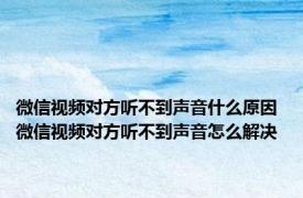 微信视频对方听不到声音什么原因 微信视频对方听不到声音怎么解决