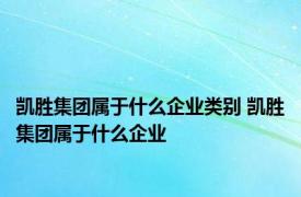 凯胜集团属于什么企业类别 凯胜集团属于什么企业