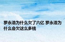 罗永浩为什么欠了六亿 罗永浩为什么会欠这么多钱 