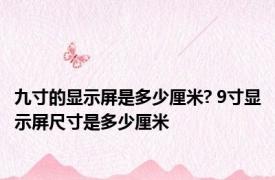 九寸的显示屏是多少厘米? 9寸显示屏尺寸是多少厘米